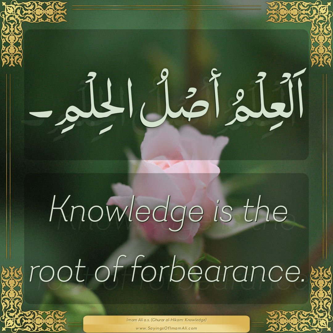 Knowledge is the root of forbearance.